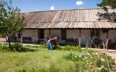 Where Buildings Came From