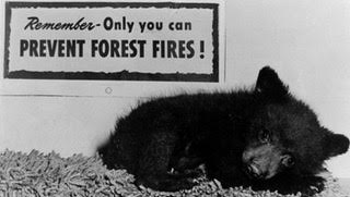 History Herald: Smokey Bear, a New Mexico Hero!