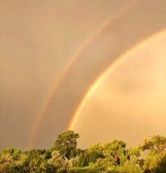 Rainbows Over New Mexico