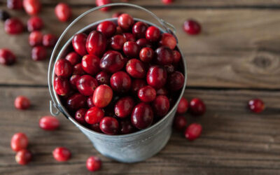 Curator’s Corner: Cranberries