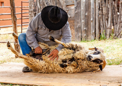 Santa Fe Spring Festival | Richard Gonzales