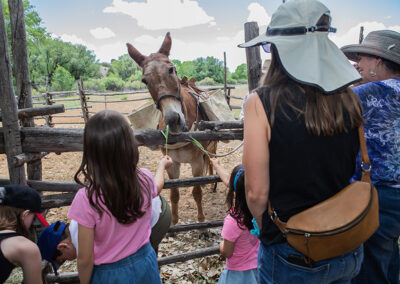 Santa Fe Spring Festival | Jane Phillips Photography