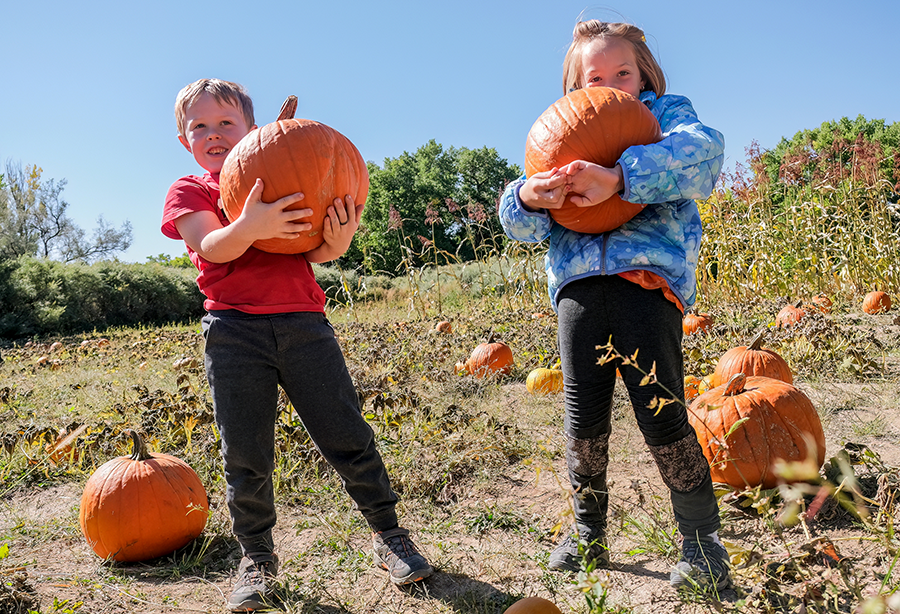 Annual Santa Fe Harvest Festival