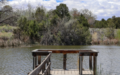 Wetlands and Watersheds: A Walking Tour of Leonora Curtin Wetland Preserve