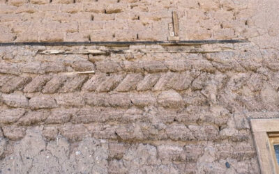 Talk Tuesdays- “Cut from the Earth: Terrón/Sod in New Mexico”