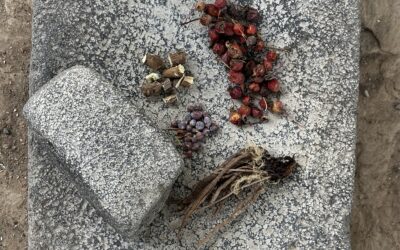 A History of Healing in New Mexico