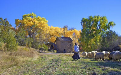 A Mindful Immersion at the Wetlands